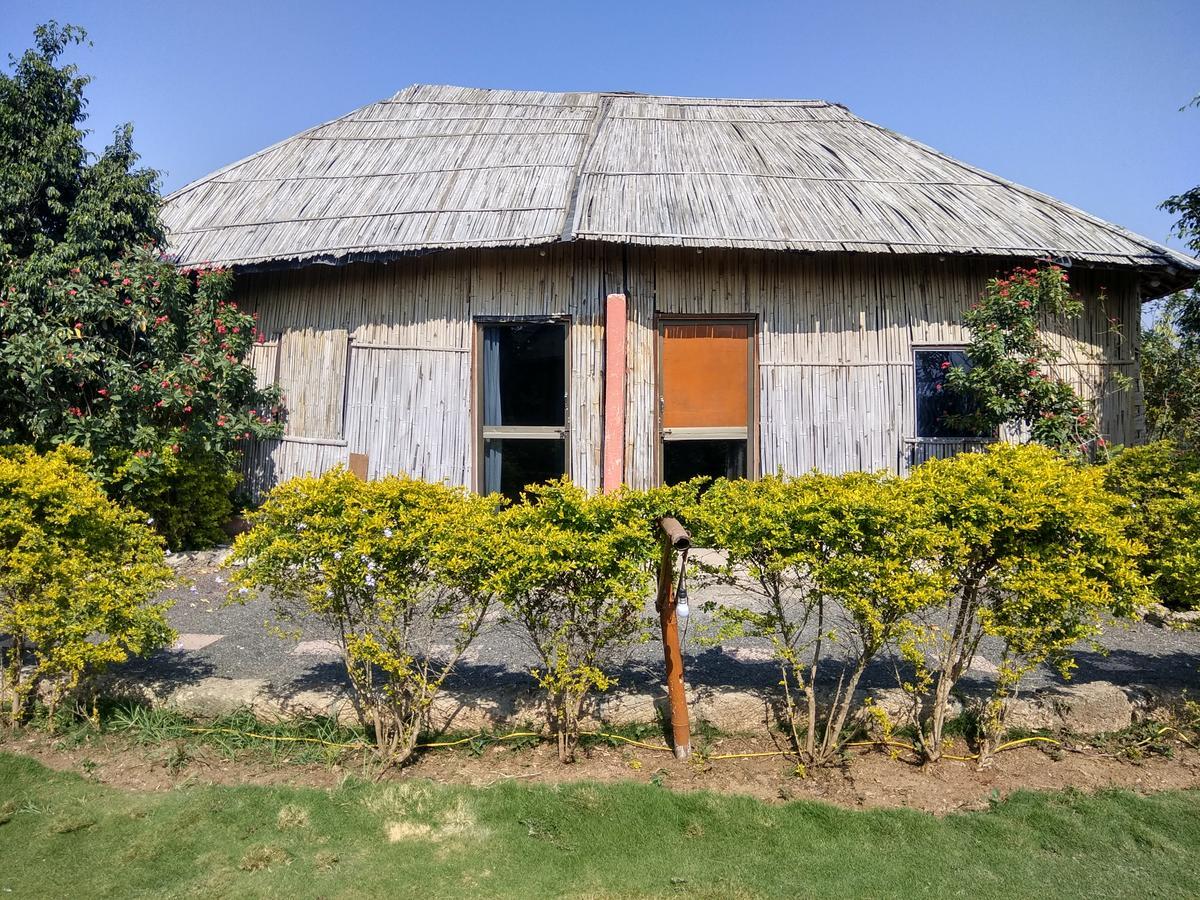 The Hillview Camp Resort Sasan Gir Exteriör bild